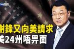 香港希望之聲