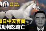 香港希望之聲 香港希望之聲