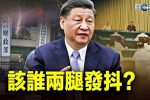 香港希望之聲 香港希望之聲