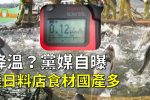 香港希望之聲