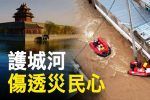 香港希望之聲