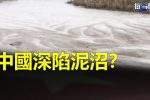 香港希望之聲 香港希望之聲