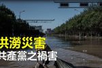 香港希望之聲