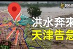 香港希望之聲