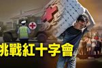 香港希望之聲 香港希望之聲