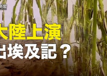 【粵覽新聞】更多災難襲華北東北 網民：這是出埃及記嗎？ 主播: 黃曉翔 紫君 