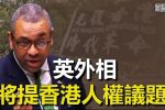 香港希望之聲