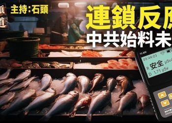 【頭頭是道】大陸民眾自行測試核輻射，結果完全出乎中共的預料之外；誰把香港變成無關緊要的大陸城市？主持：石頭