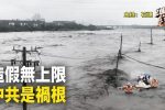 香港希望之聲