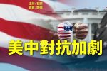 香港希望之聲 香港希望之聲