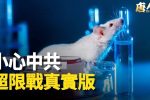 香港希望之聲