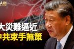 香港希望之聲 香港希望之聲