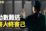香港希望之聲