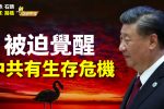 香港希望之聲