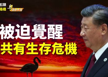 【粵講粵有理】被迫覺醒  中共有生存危機