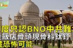 香港希望之聲
