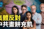 香港希望之聲