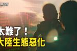 香港希望之聲 香港希望之聲