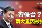 香港希望之聲