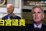 香港希望之聲