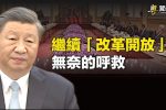 香港希望之聲 香港希望之聲