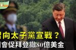 香港希望之聲