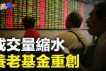 香港希望之聲