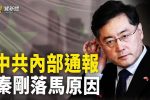 香港希望之聲