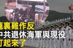 香港希望之聲