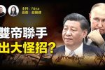 香港希望之聲