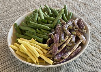 【梁廚美食】生炒三色四季豆/金針菇蘿蔔炆海參