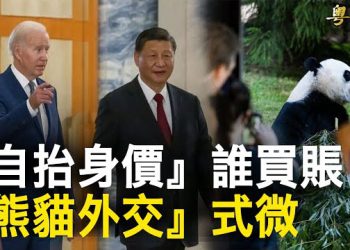 【粵覽新聞】王毅表態APEC逼美讓步？華府送回三隻大熊貓釋信號；SpaceX獲五角大樓首份太空軍合同 星鏈為台海備戰 主播: 林茵 鍾嘉慧  