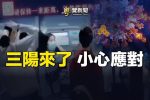 香港希望之聲 香港希望之聲