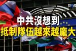 香港希望之聲 香港希望之聲