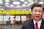 香港希望之聲 香港希望之聲