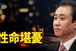 香港希望之聲 香港希望之聲