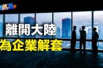 香港希望之聲