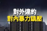 香港希望之聲