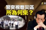 香港希望之聲