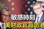 香港希望之聲