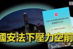 香港希望之聲