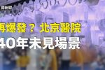 香港希望之聲