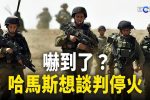 香港希望之聲