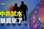 香港希望之聲