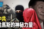 香港希望之聲