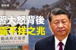 香港希望之聲 香港希望之聲