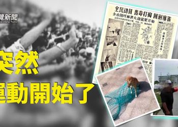 【粵覽新聞】李尚福被免 他將是香山論壇的主角；專家談：郭台銘被中共查背後的原因 主播: 黃曉翔 紫君 