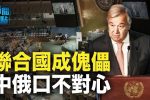 香港希望之聲