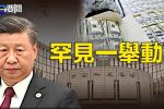 香港希望之聲 香港希望之聲