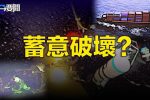 香港希望之聲 香港希望之聲